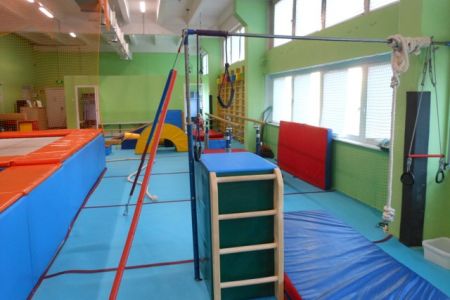 профессиональная гимнастическая перекладина